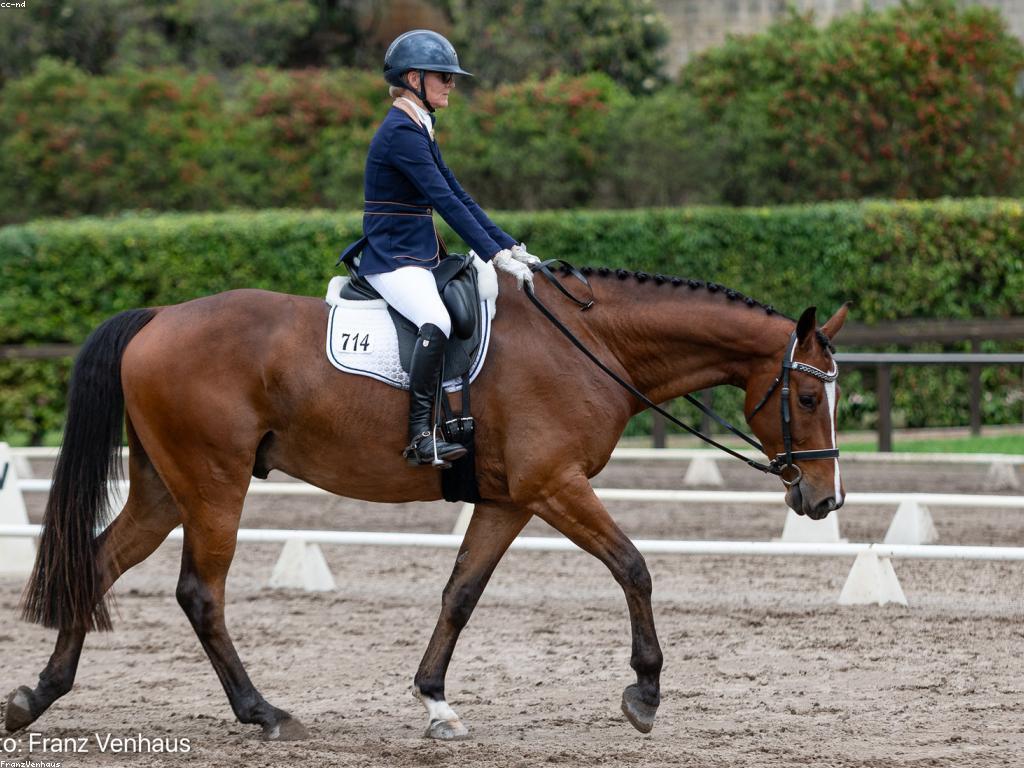 ការប្រកួតនិងព្រឹត្តិការណ៍៖ ការចូលរួមនិងពិភាក្សាពីសកម្មភាពអាជីព